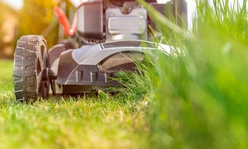 Rukovatelj motornom kosilicom i trimerom